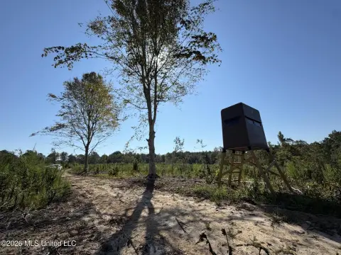 Hunting Land with Food Plots