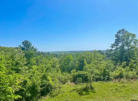 East Texas Panoramic View Acreage