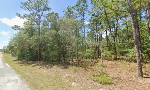 Residential Lot in Citrus Springs