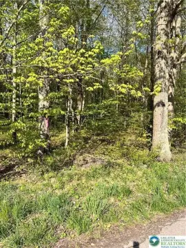 Wooded Residential Land Parcel