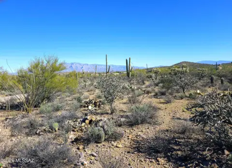 Lush Desert Acres in Tucson