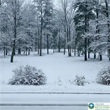 Wooded Waterfront Community Lot