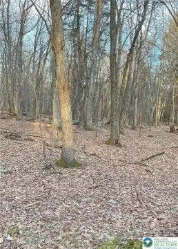 Vacant Land in Penn Forest