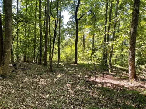 Deed-Restricted Mountain Home Lot