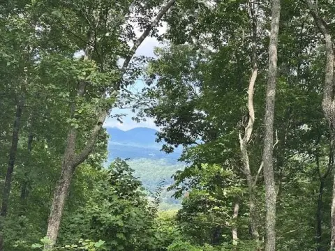 Gated Mountain Retreat Homesite