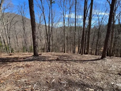 Mountain View Home Lot with Stream