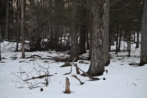 Land in Timber Hill Community