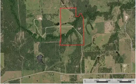 Cistern Acreage with Mineral Rights