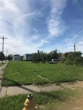 Detroit Vacant Land Opportunity