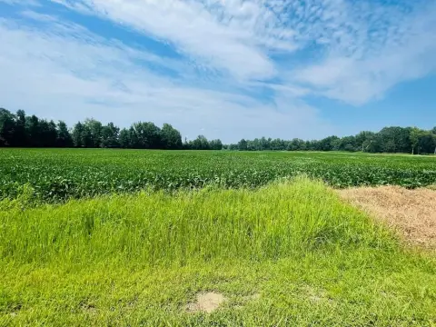 13.89 Acres of Farmland