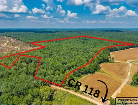 Secluded Acreage in Water Valley