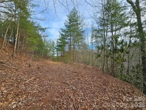 Waynesville Land in Twin Oaks