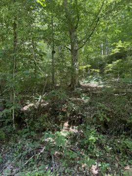 Surveyed Hunting Land
