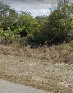 Residential Land in Port Charlotte