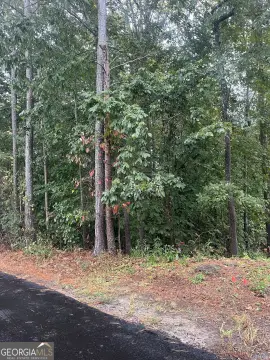 Land Near Lake Lanier Shores