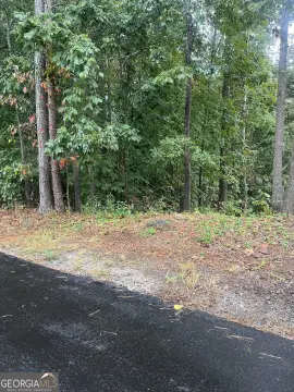 Two Residential Lots Near Lake