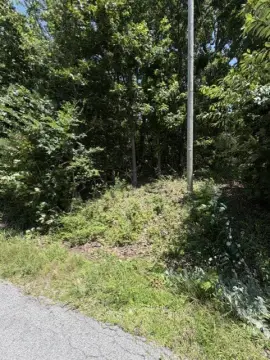 Level Waterfront Residential Lot