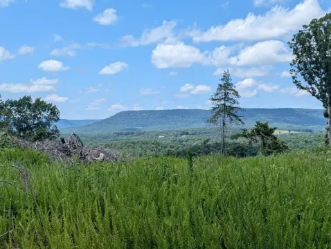 Wooded Hunting Recreational Land