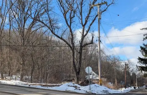 Binghamton Land with Dual Access