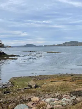 Waterfront Land with Mature Trees