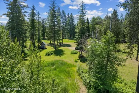 Rural Acreage with Unfinished Cabin