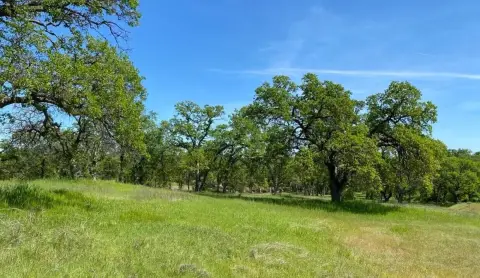 Land in Cottonwood with Oak Trees