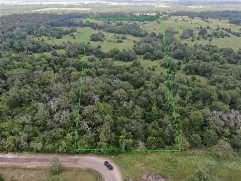 Wooded Land Tract
