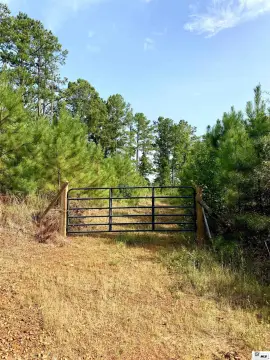 Recreational and Timber Land Tract