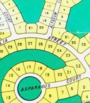 Homosassa, FL Home Site