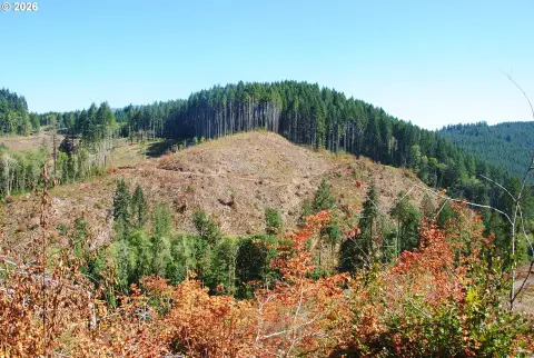 140 Acres Near Alsea, Oregon