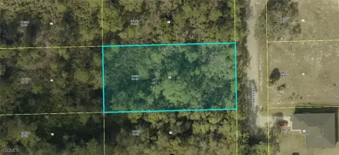 Residential Land in Alva, Florida