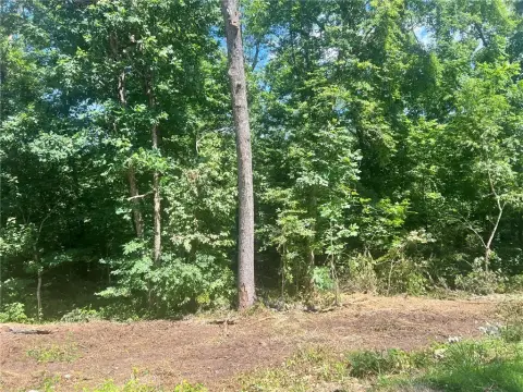 Buildable Homesite in Bella Vista