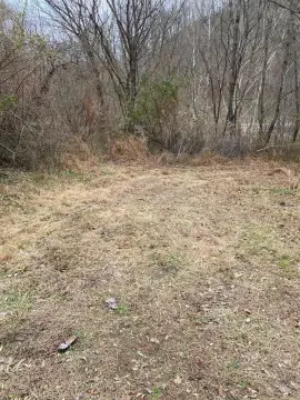 Land Parcel