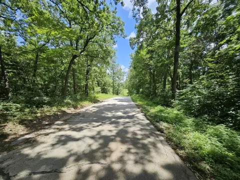 40 Acres of Potential Land