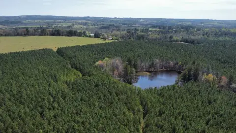 216 Acres Recreational Land
