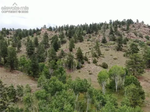 Forested Recreation Land Parcel