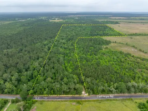 50 Acres Wooded Hunting Land