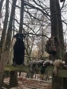 Leflore Hunting Land with Cabin