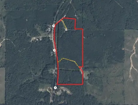 43 Acres on Highway 9