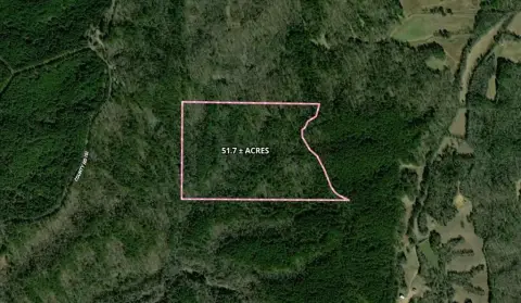 51.7 Acres of Timberland
