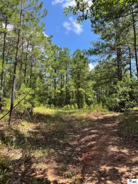 Timber and Hunting Land with Frontage