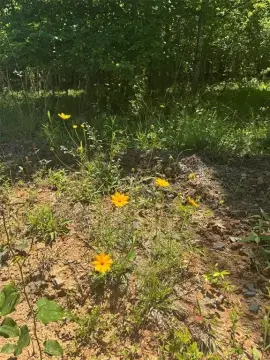 Build-Ready Residential Land Tract