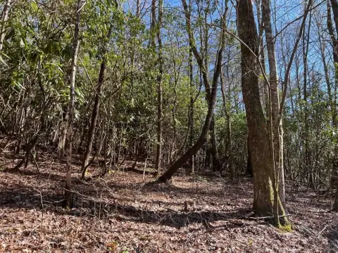 Land on Wayah Road