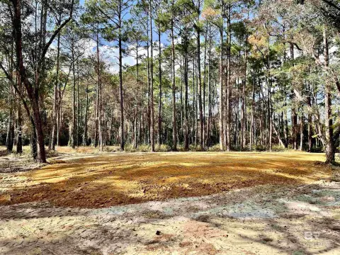 Foley Land with Recreational Paradise