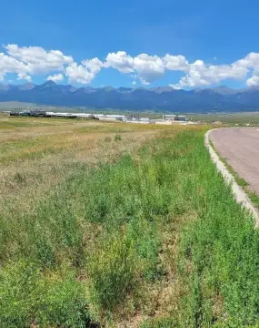 Westcliffe, CO Residential Land