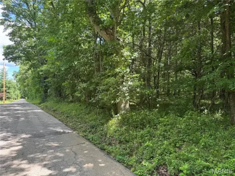 Wooded Hunting & Recreation Tract