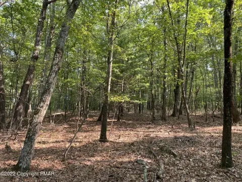 Residential Land Lot in Great Community