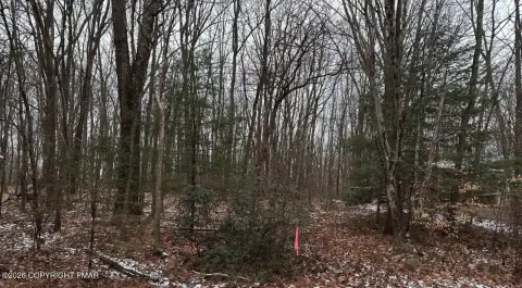 Wooded Lot in White Haven
