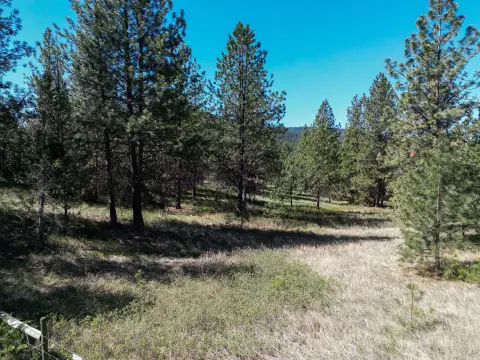 Big Arm Homesite Opportunity