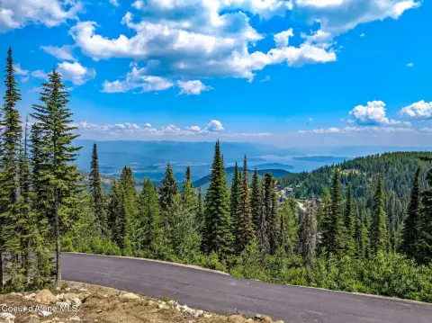 Ski-In/Out Mountain Homesite